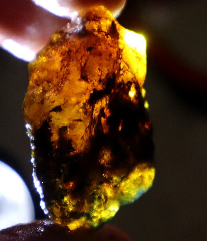 Exquisite Sky Blue Dominican Amber Rough Specimen Chunk 39mm 8.7g – photo 5