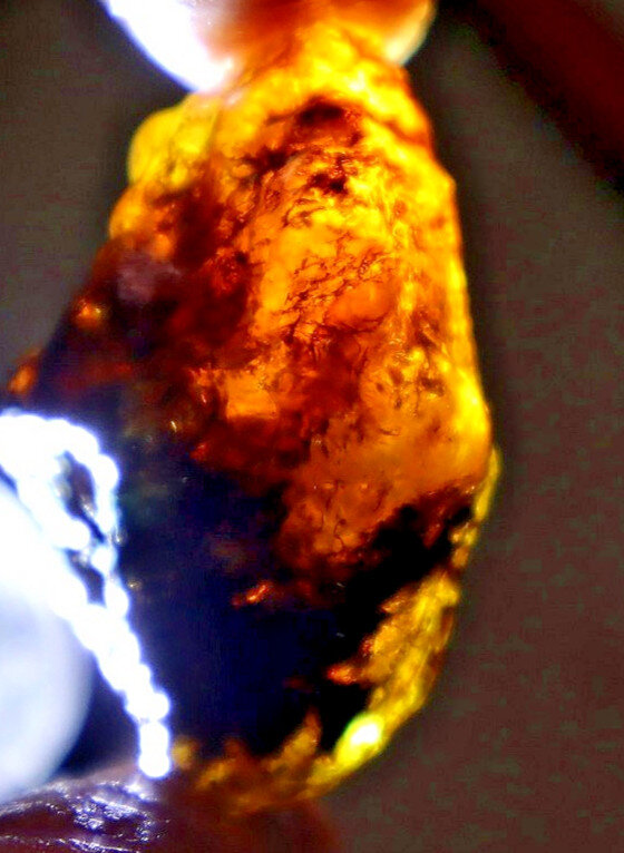 Exquisite Sky Blue Dominican Amber Rough Specimen Chunk 39mm 8.7g – photo 6