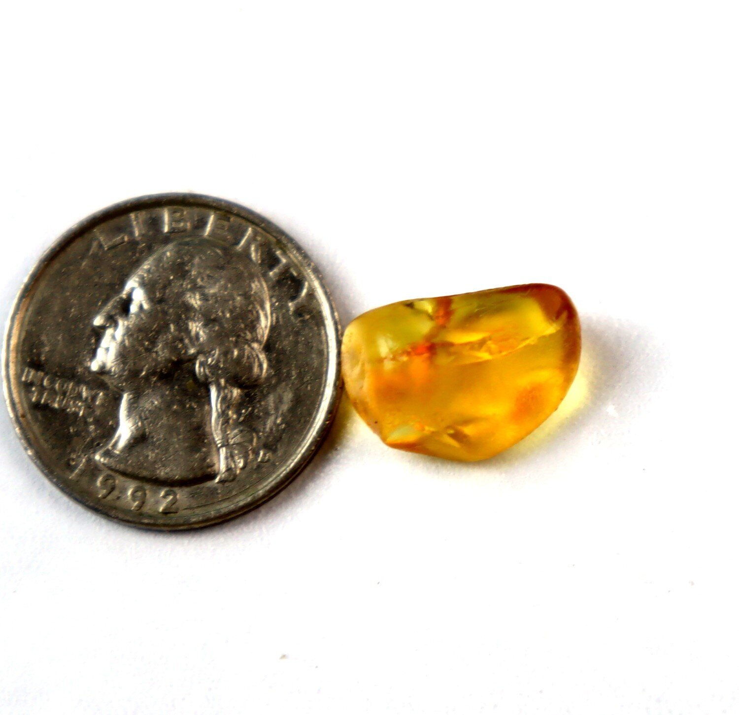 Artisan Polished Mosquito Inclusion In Amber Fossils/Insects 16mm – photo 3