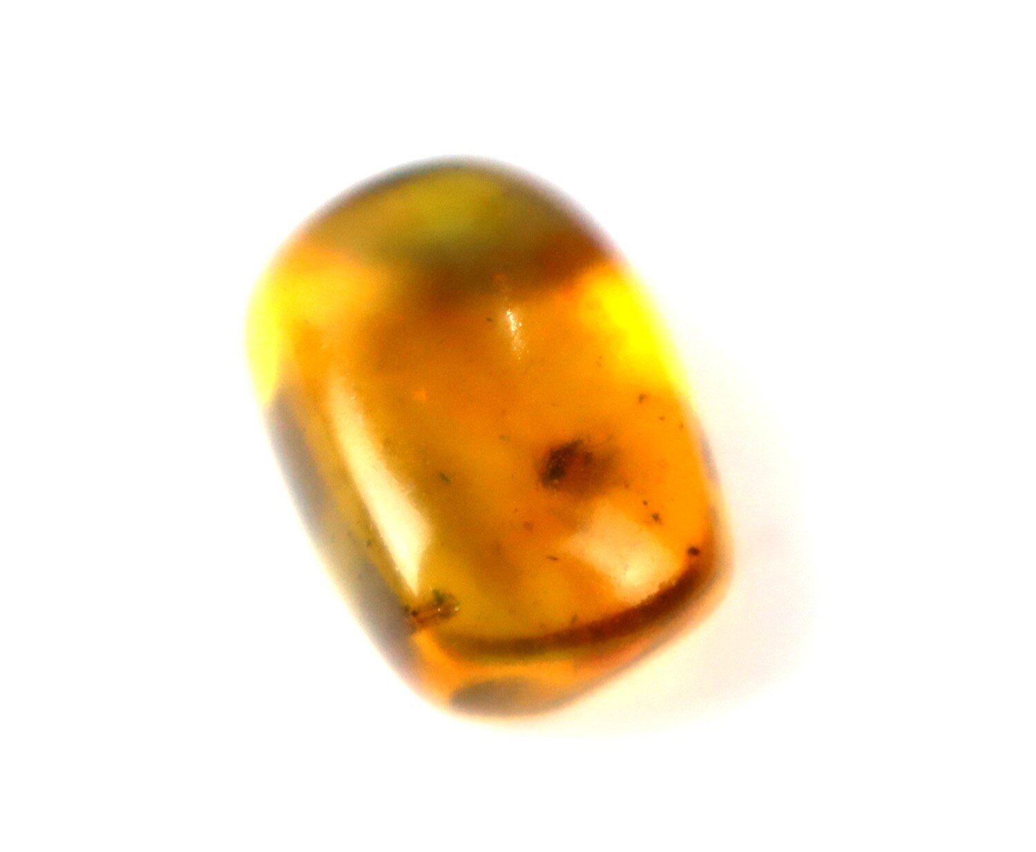 Natural Dominican Amber with Rare Insect Inclusion – 15mm – photo 4