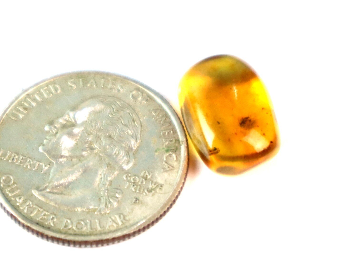 Natural Dominican Amber with Rare Insect Inclusion – 15mm – photo 5