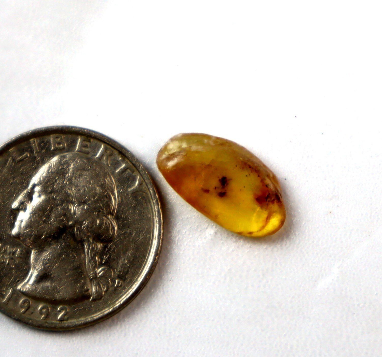 Elegant Fine Mosquito Inclusion Amber Fossils/Insects 17mm – photo 3