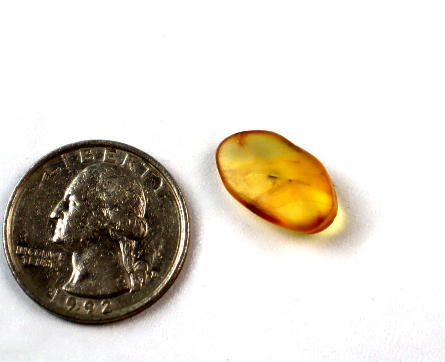 Natural Elegant Mosquito Inclusion In Amber Fossils/Insects 18mm – photo 3