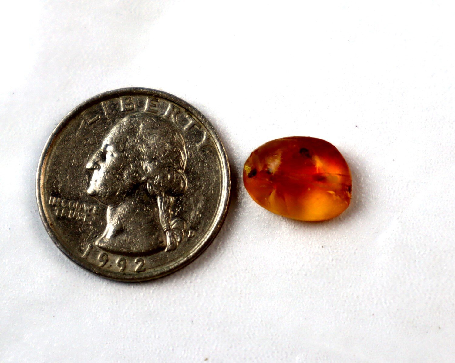 Fine Quality Beetle Inclusion In Amber Fossils/Insects 13mm – photo 3
