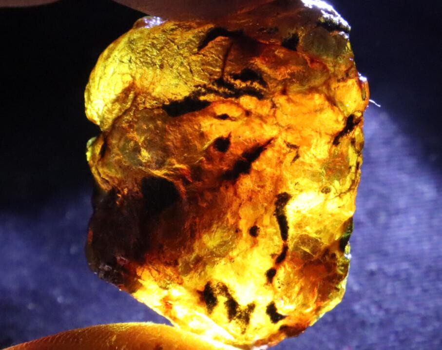 Exquisite Natural Dominican Clear Sky Blue Amber Rough Specimen 37mm 9g – photo 9