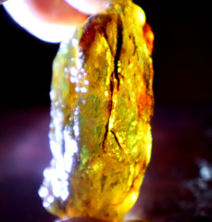 Natural Dominican Crystal Clear Sky Blue Amber Rough Specimen 51mm 14.5g – photo 10