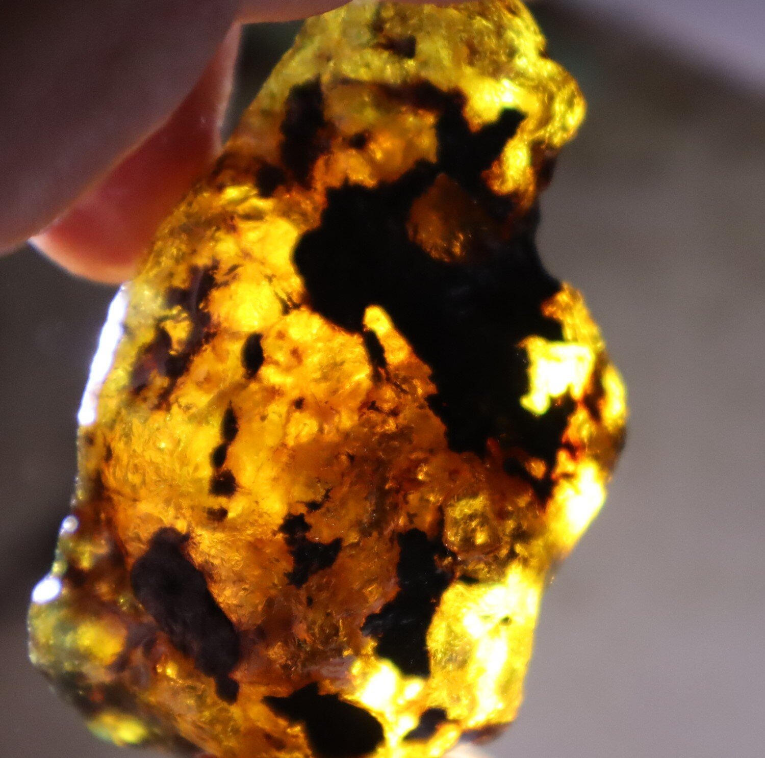 Beautiful Natural Dominican Clear Green Blue Amber Rough Specimen 63mm 31.2g – photo 10