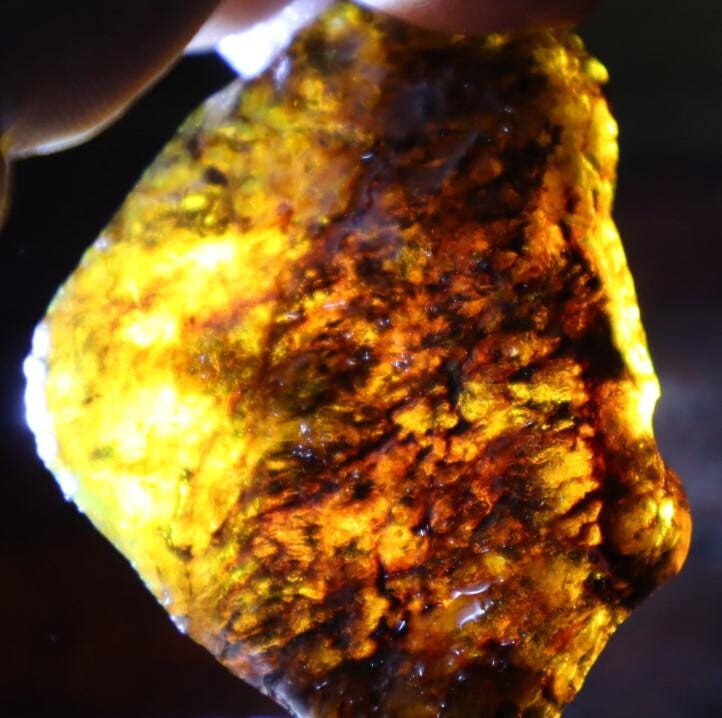 Exquisite Natural Dominican Clear Sky Blue Amber Rough Specimen 52mm 24.5g – photo 7