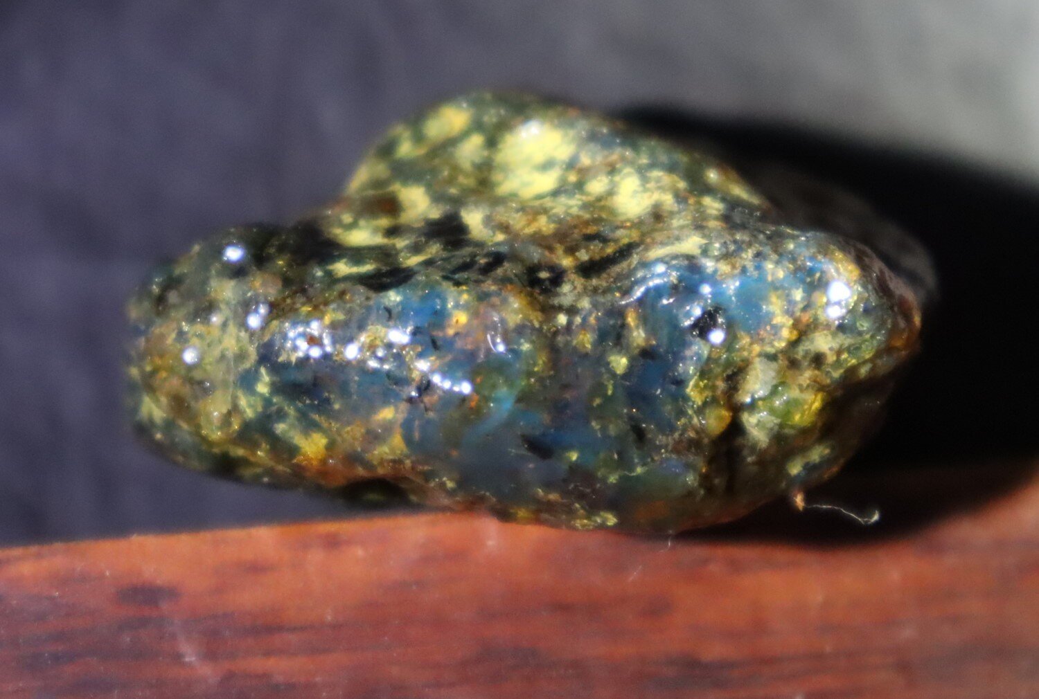 Beautiful Natural Dominican Translucent Ocean Blue Amber Rough Specimen 47mm 19g – photo 5