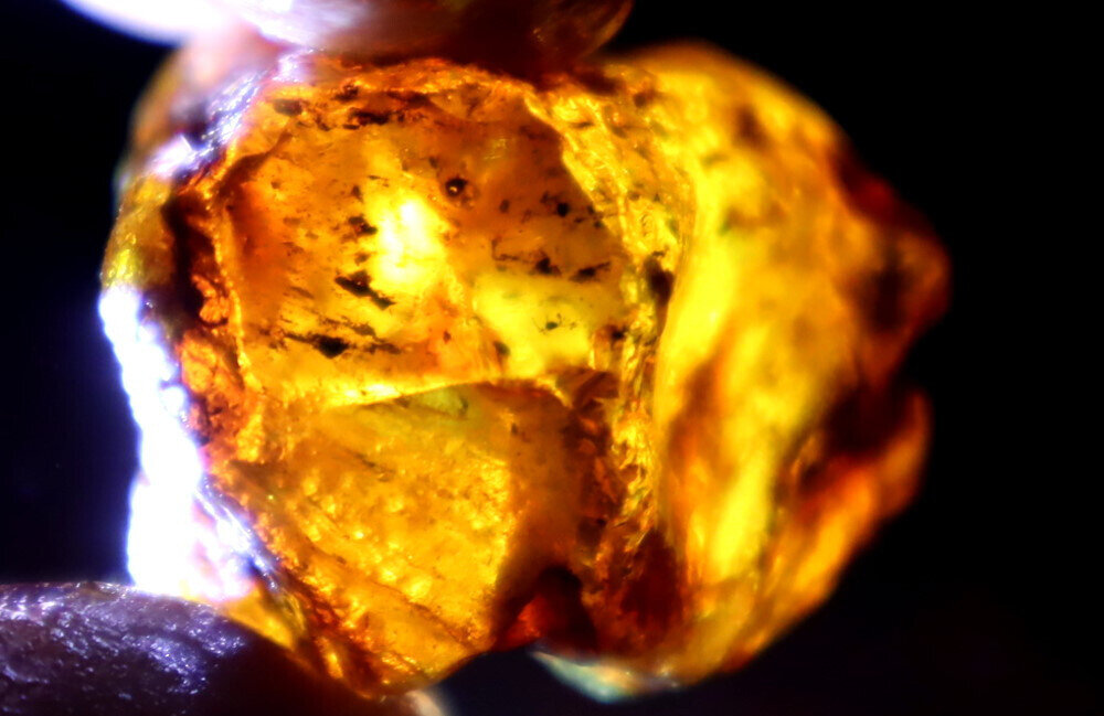 Exquisite Natural Dominican Clear Deep Blue Amber Rough Specimen 45mm 12.7g – photo 10