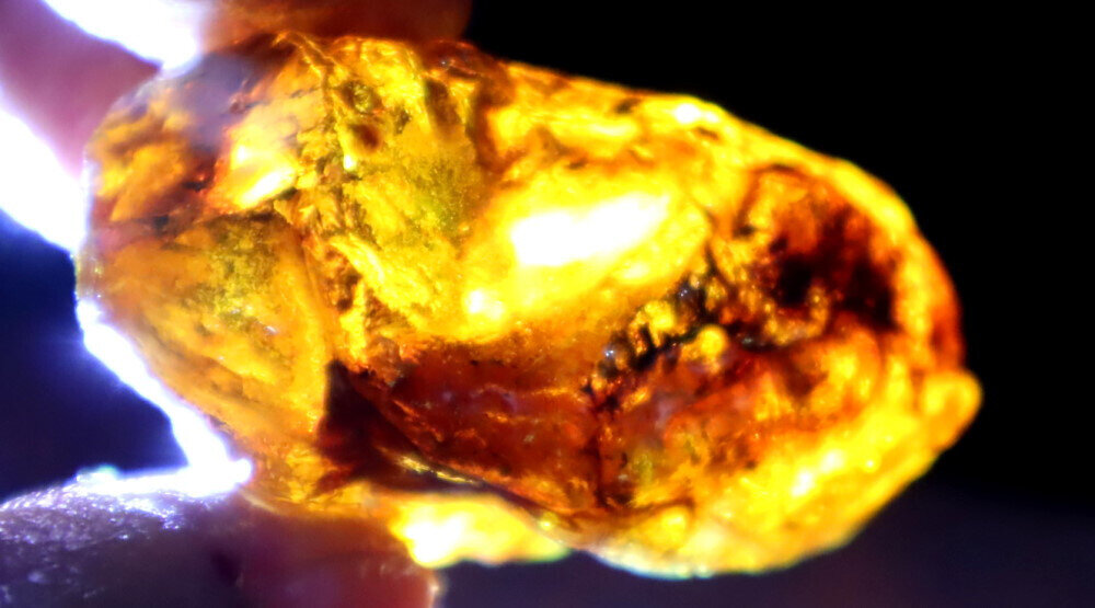 Exquisite Natural Dominican Clear Deep Blue Amber Rough Specimen 45mm 12.7g – photo 15