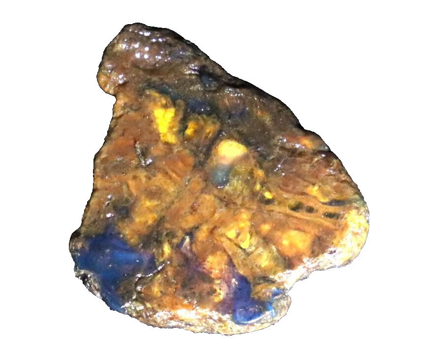 Natural Translucent Butterscotch Blue Amber Slab Slice Specimen 33mm 4g – photo 3