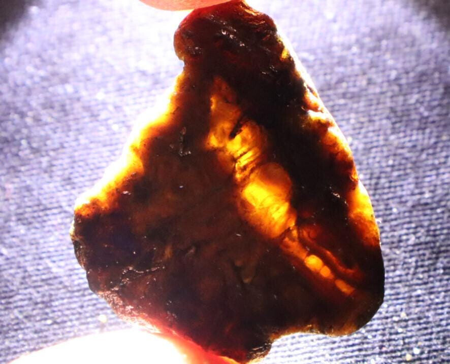 Natural Translucent Butterscotch Blue Amber Slab Slice Specimen 33mm 4g – photo 7