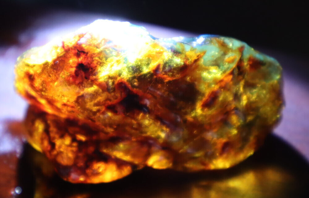 Finest Natural Dominican Clear Green Blue Amber Rough Specimen 58mm 25g – photo 5