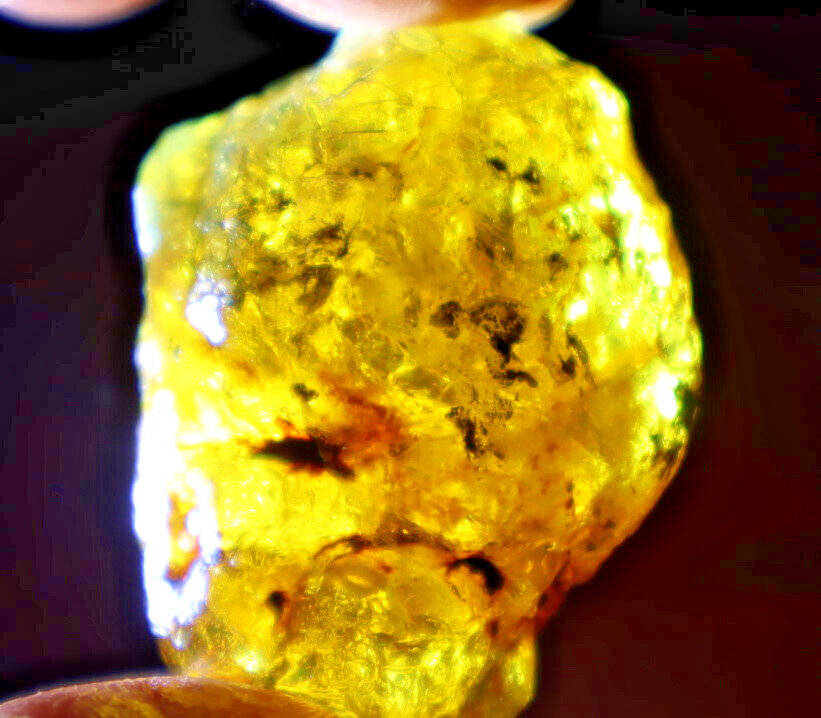 Beautiful Natural Dominican Clear Light Blue Yellow Amber Rough Specimen 43mm 14g