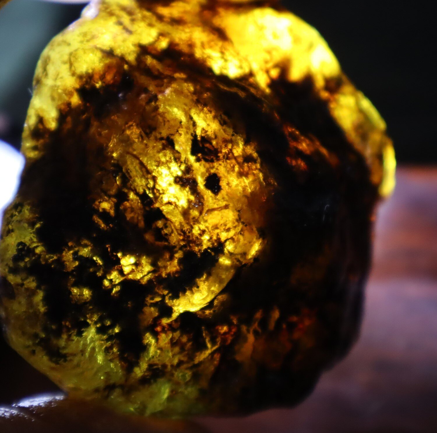 Beautiful Natural Dominican Translucent Sky Blue Amber Rough Specimen 58mm 42.5g – photo 14