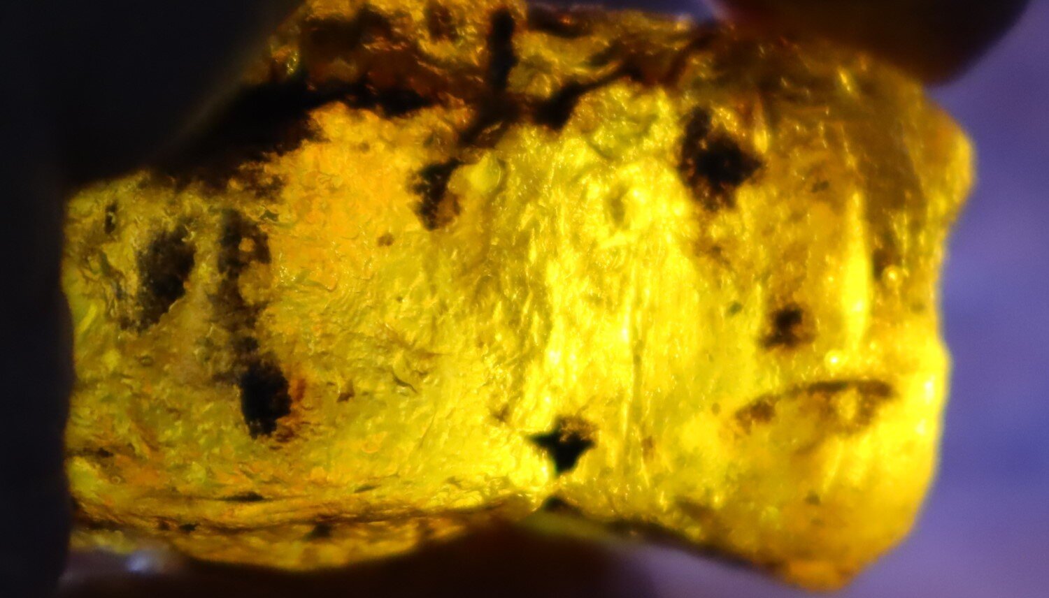 Impressive Natural Dominican Clear Sky Blue Amber Rough Specimen 49mm 26.9g – photo 11