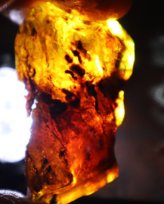 Beautiful Natural Dominican Clear Ocean Blue Amber Rough Specimen 50mm 18.5g – photo 9