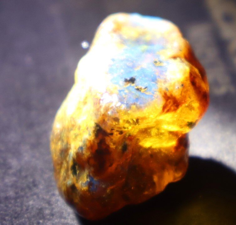 Natural Dominican Clear Deep Blue Amber Rough Specimen 28mm 8.5g – photo 12
