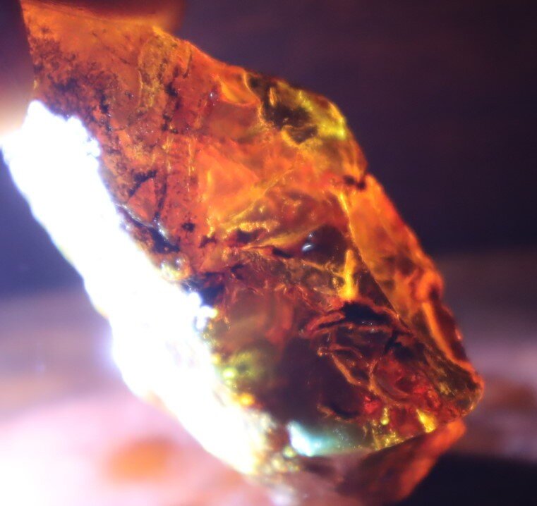 Impressive Natural Dominican Clear Volcanic Blue Amber Rough Specimen 62mm 28.5g – photo 14