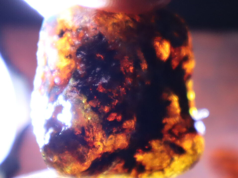 Beautiful Natural Dominican Translucent Sky Blue Amber Rough Specimen 31mm 10.1g – photo 11