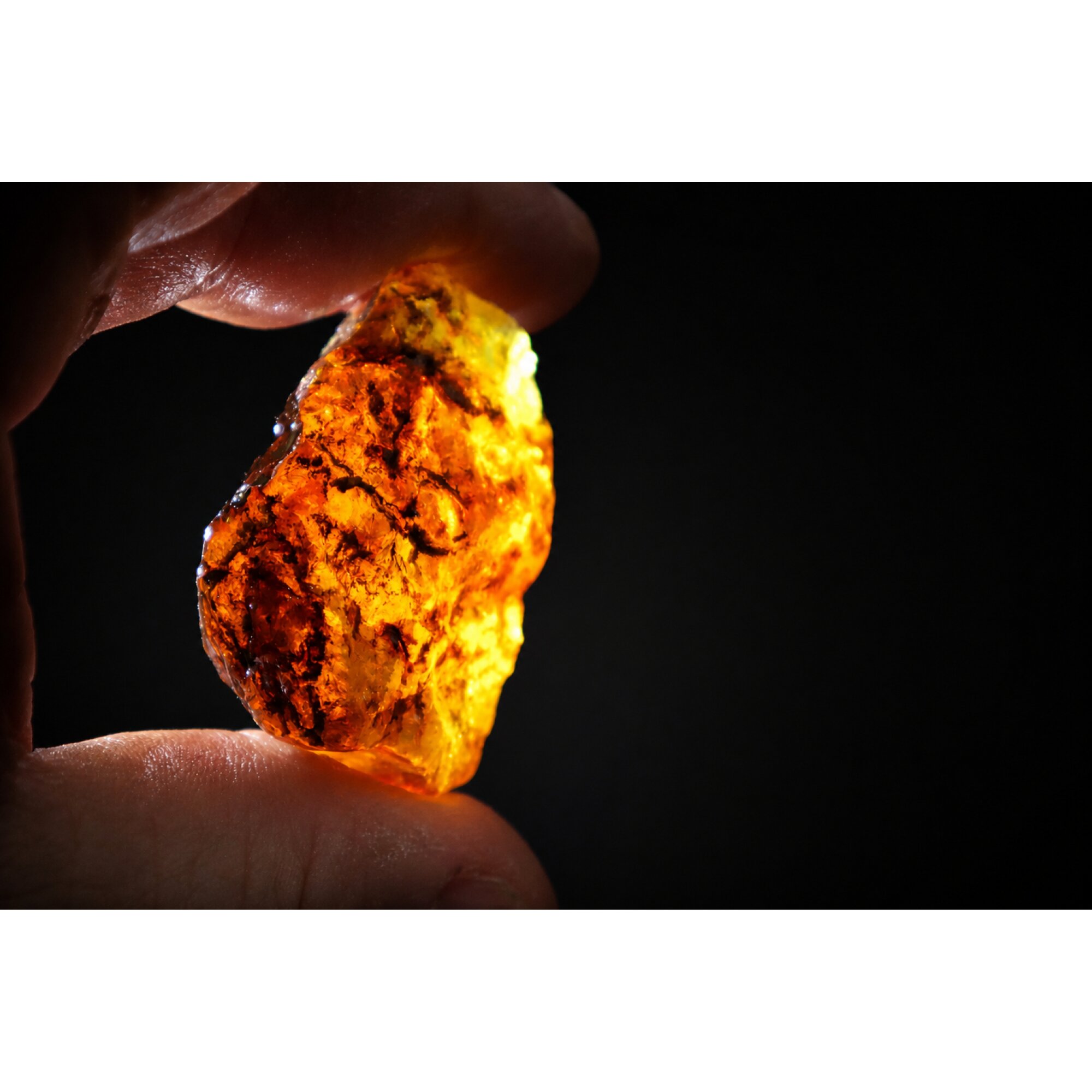 Clear sky blue Natural Dominican Amber rough Specimen 44 mm – photo 5