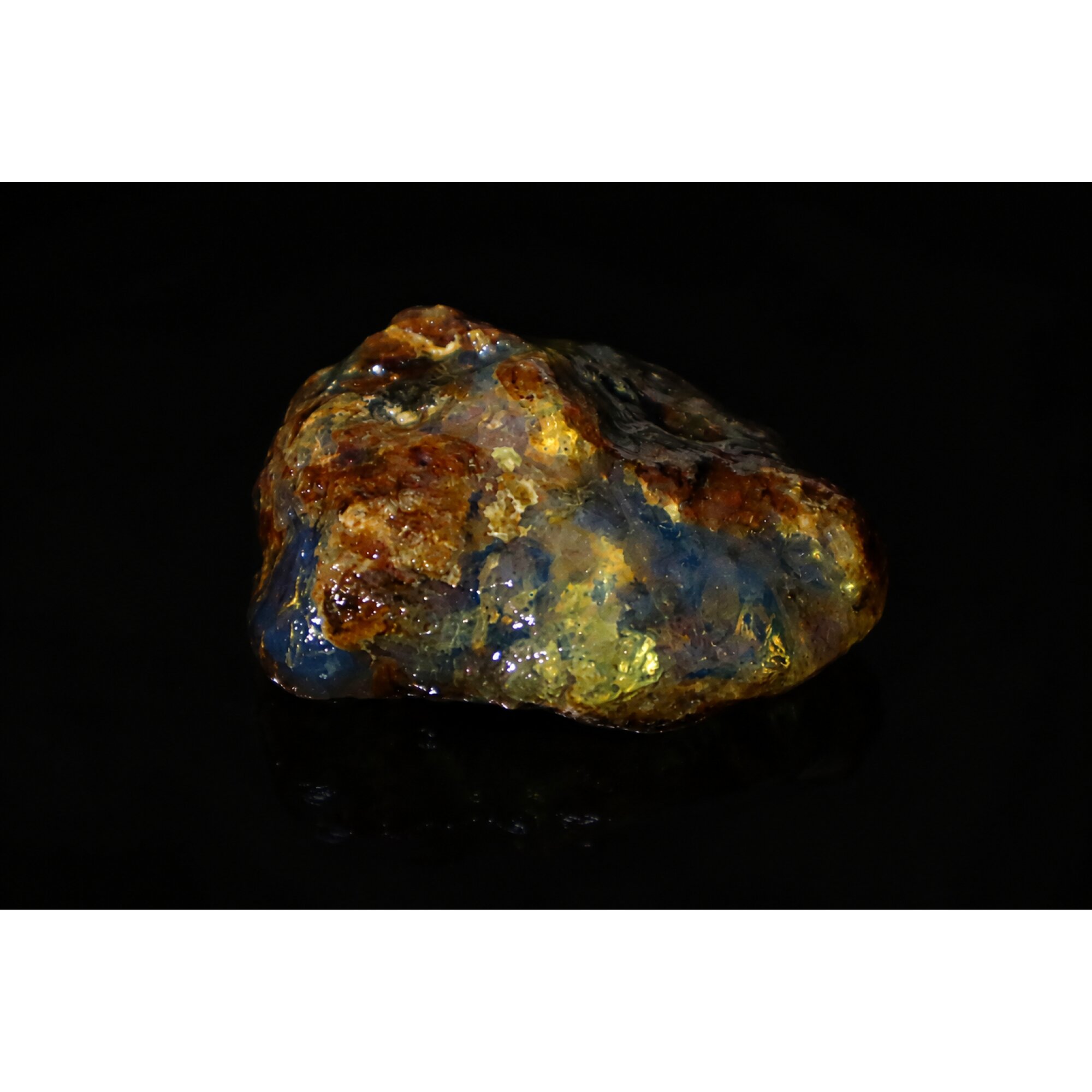 Translucent royal blue Natural Dominican Amber butterscotch Rough Specimen 33 mm – photo 9