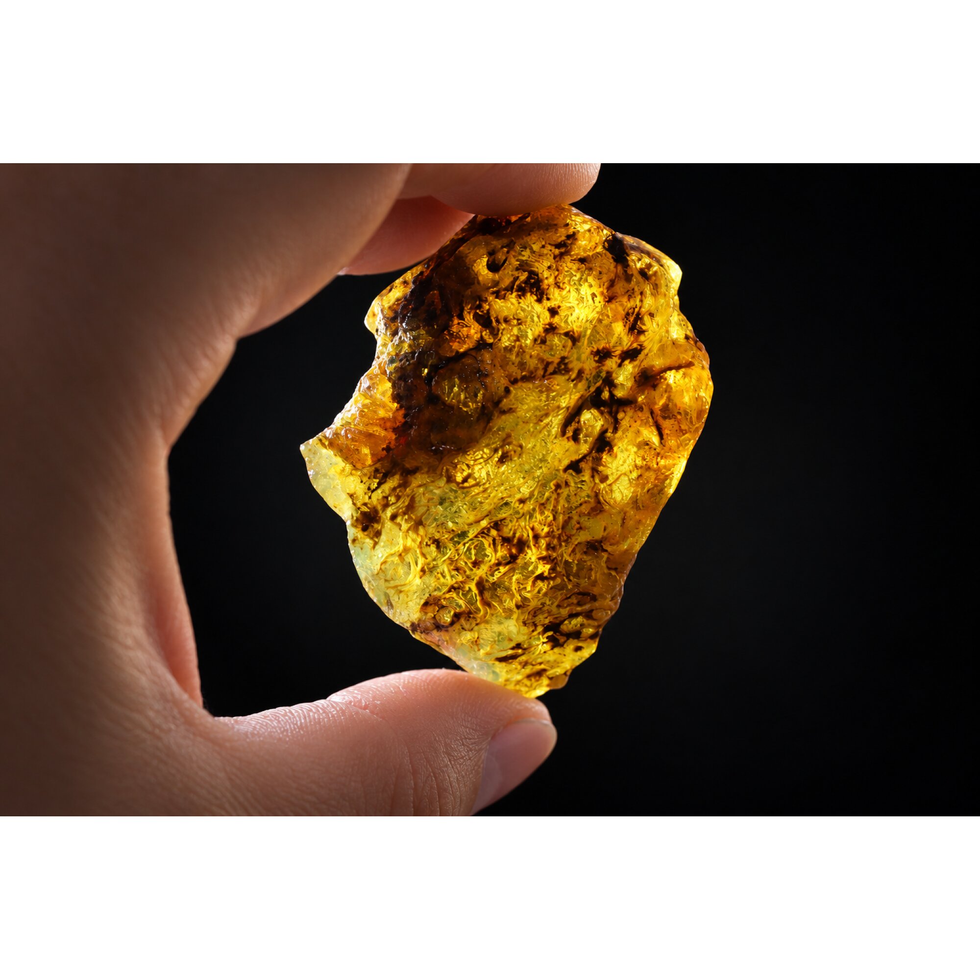 Clear yellow green Natural Dominican Amber raw 925 Sterling Rough Specimen 62 mm – photo 3