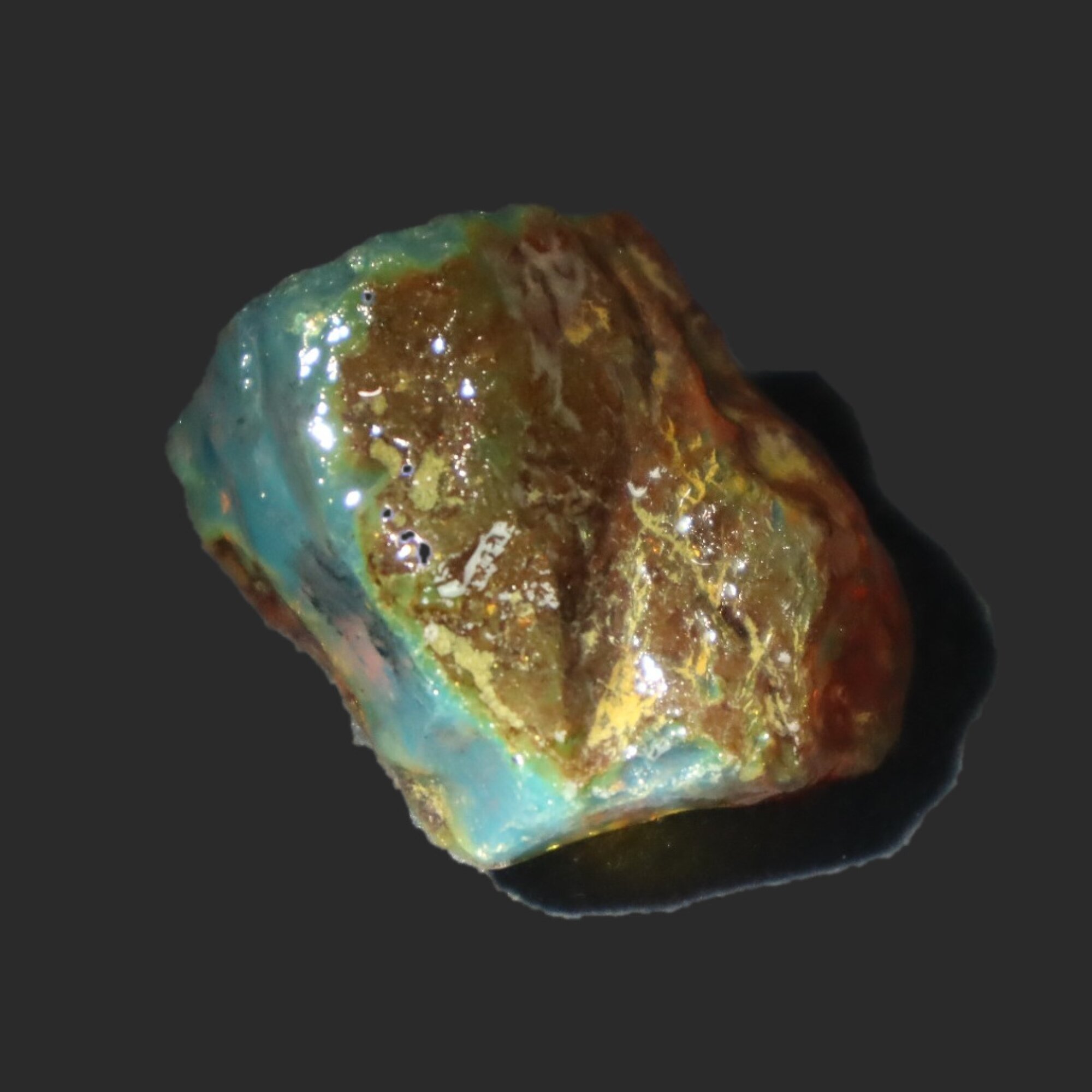 Naturally formed cognac blue rough specimen Dominican amber 31mm – photo 5