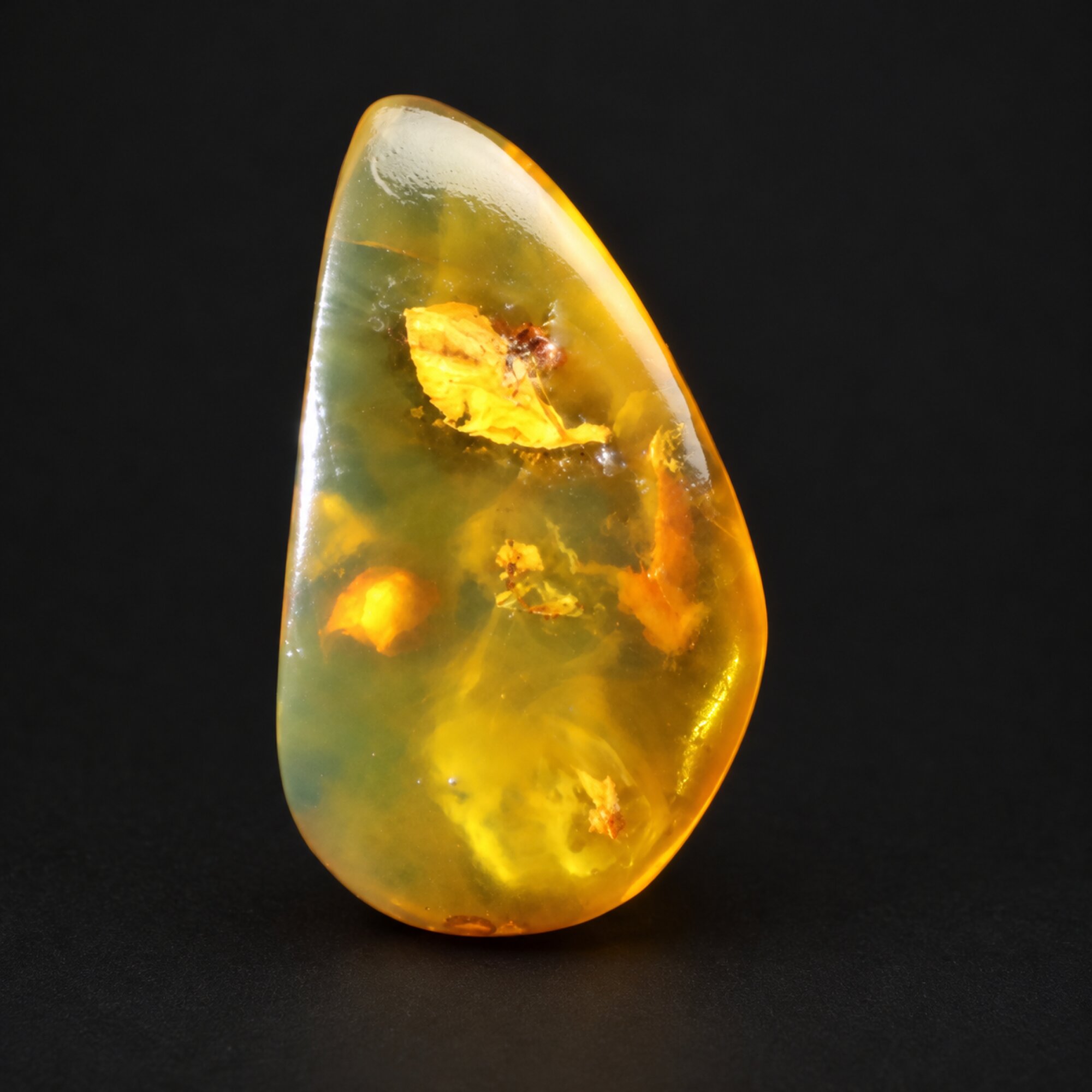 Natural green yellow polished Dominican amber – photo 4