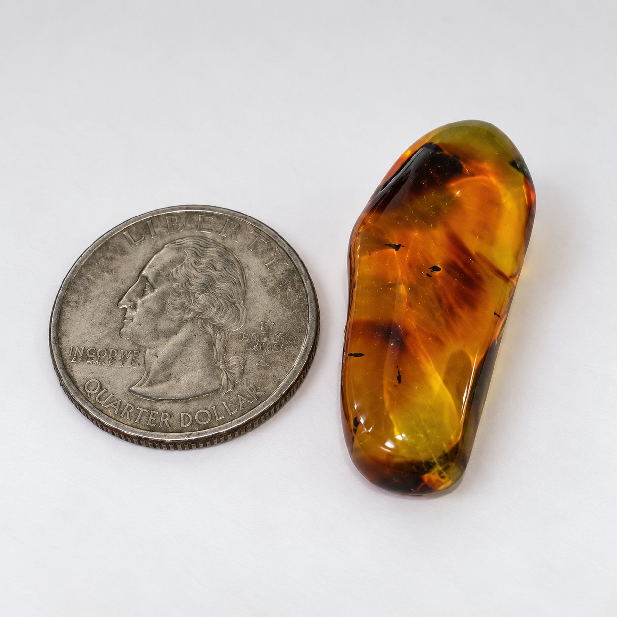 Real dark green polished Dominican amber 35mm – photo 5