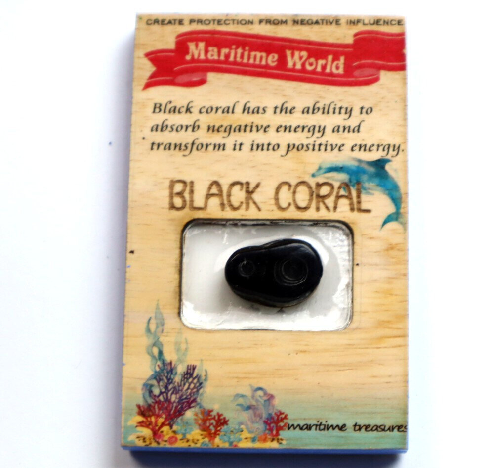 Handmade Refrigerator Black Coral Cabochon on Ficus Benjamin Wood Base 3x2 inch – photo 4