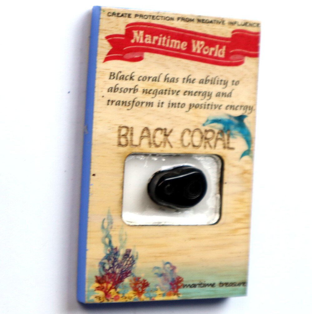 Handmade Refrigerator Black Coral Cabochon on Ficus Benjamin Wood Base 3x2 inch – photo 5