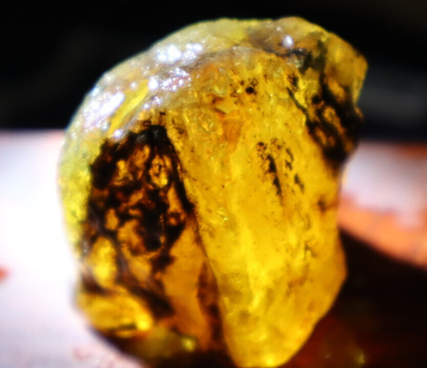 Beautiful Natural Dominican Crystal Clear Yellow Blue Amber Rough Specimen 35mm – photo 6