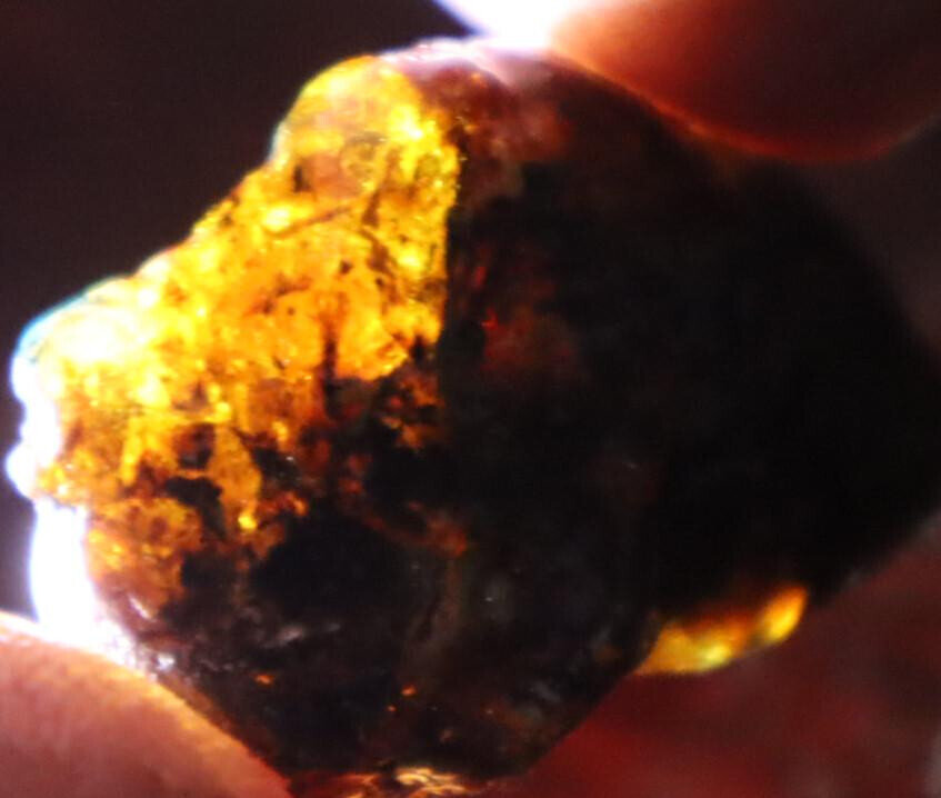 Beautiful Natural Dominican Translucent Yellow Orange Amber Rough Specimen 40mm – photo 4