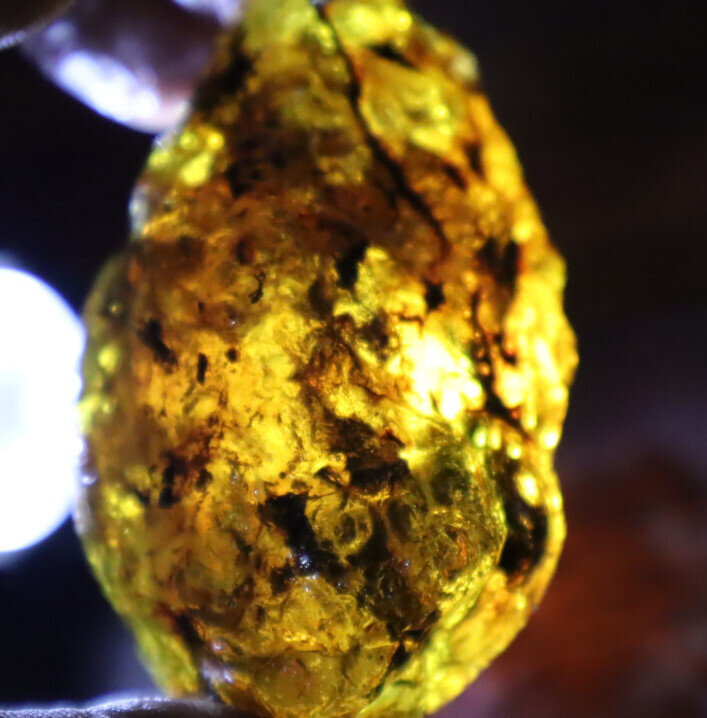 Beautiful Natural Dominican Clear Light Blue Green Amber Rough Specimen 52mm 44g – photo 12