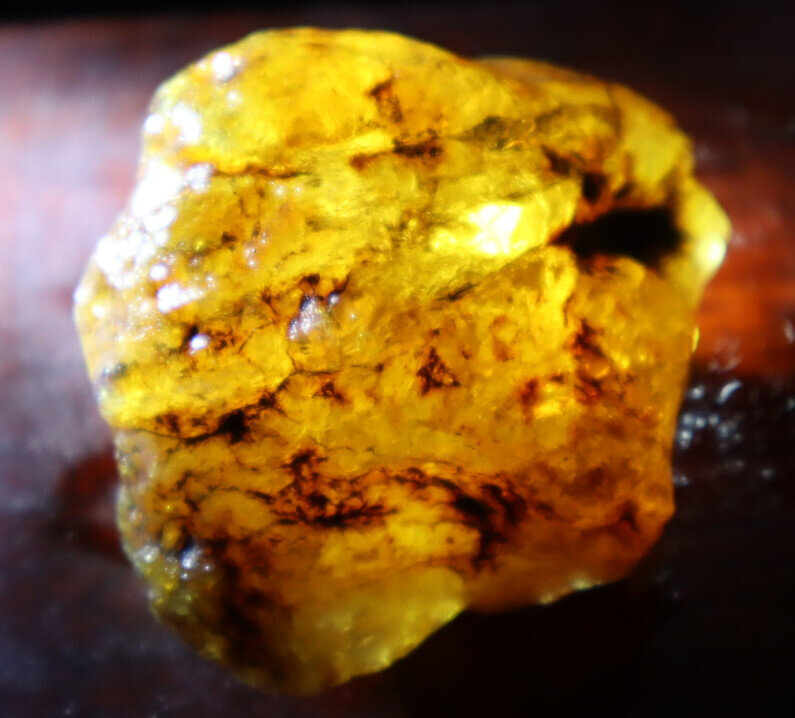 Natural Dominican Crystal Clear Light Blue Yellow Amber Rough Specimen 45mm 21g – photo 9