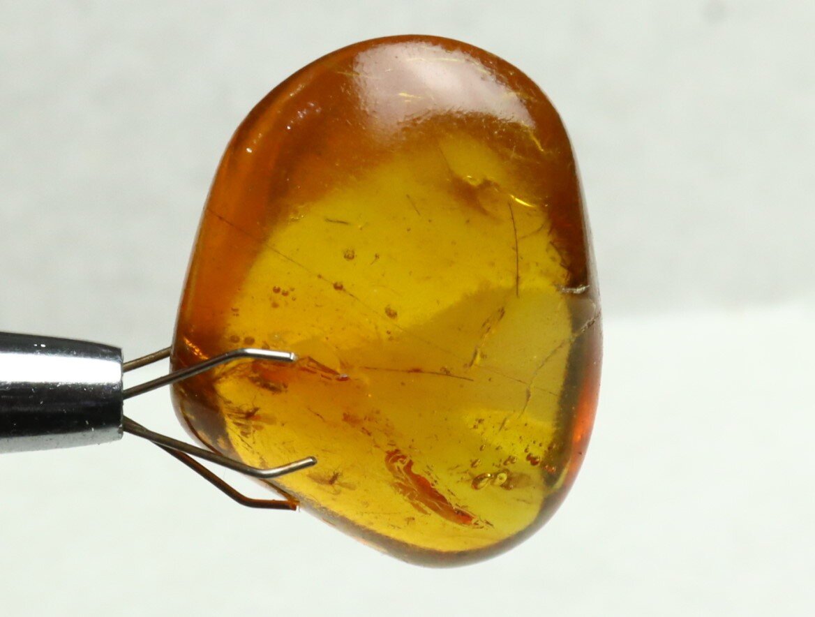 Lovely Natural Dominican Clear Yellow Amber Fossil Insect Fleas Polished Stone 3 – photo 10