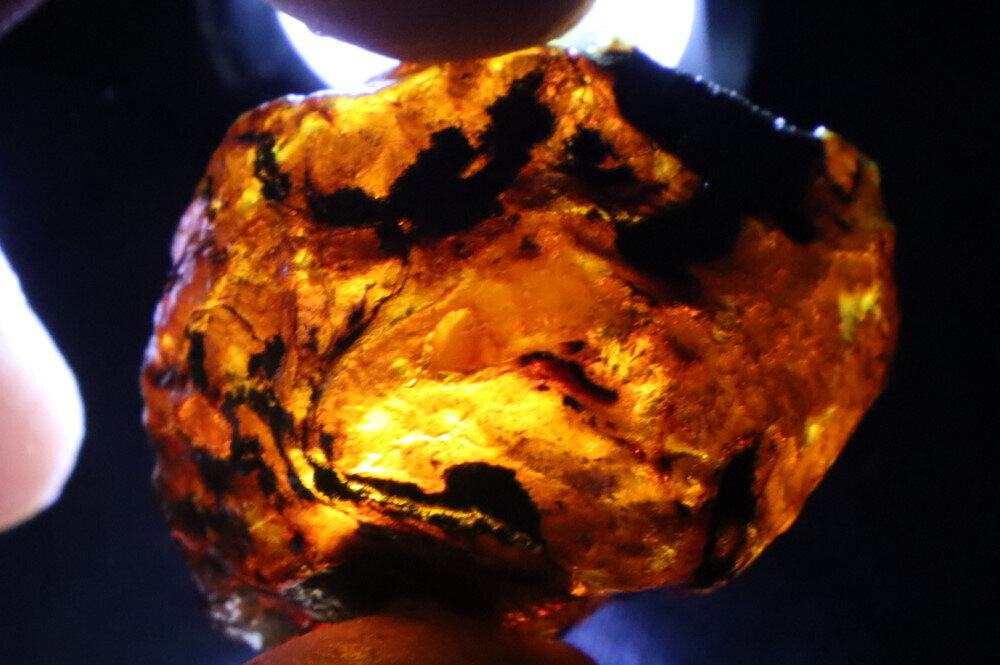 Beautiful Natural Dominican Clear Green Blue Amber Rough Specimen 40mm 22g – photo 7
