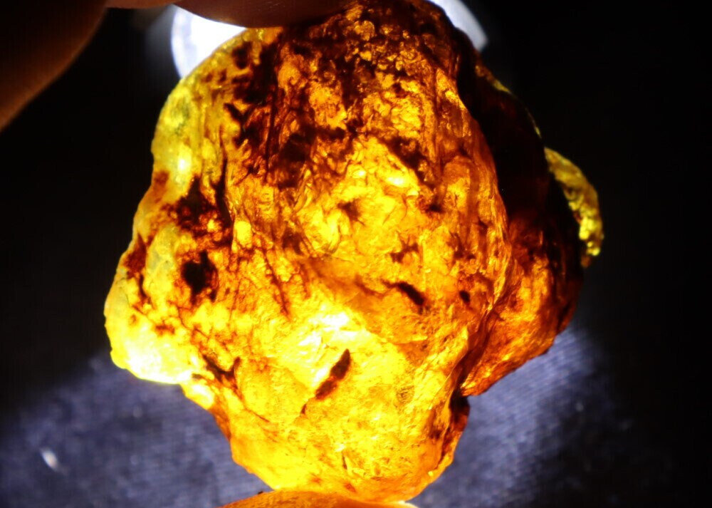 Impressive Natural Dominican Clear Sky Blue Amber Rough Specimen 34mm 15g – photo 7