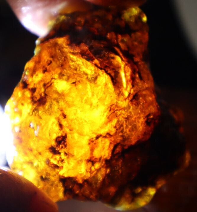 Exquisite Natural Dominican Clear Sky Blue Amber Rough Specimen 53mm 26g – photo 9