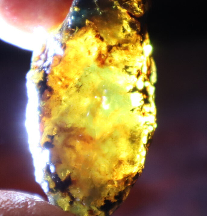 Lovely Natural Dominican Clear Sky Blue Amber Rough Specimen 38mm 7.4g – photo 9