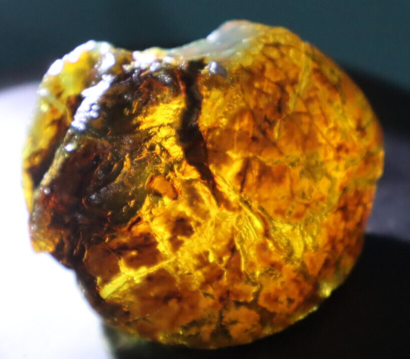Charming Design Nat. Dominican Clear Blue Green Amber Rough Specimen 61mm 46.5g – photo 13
