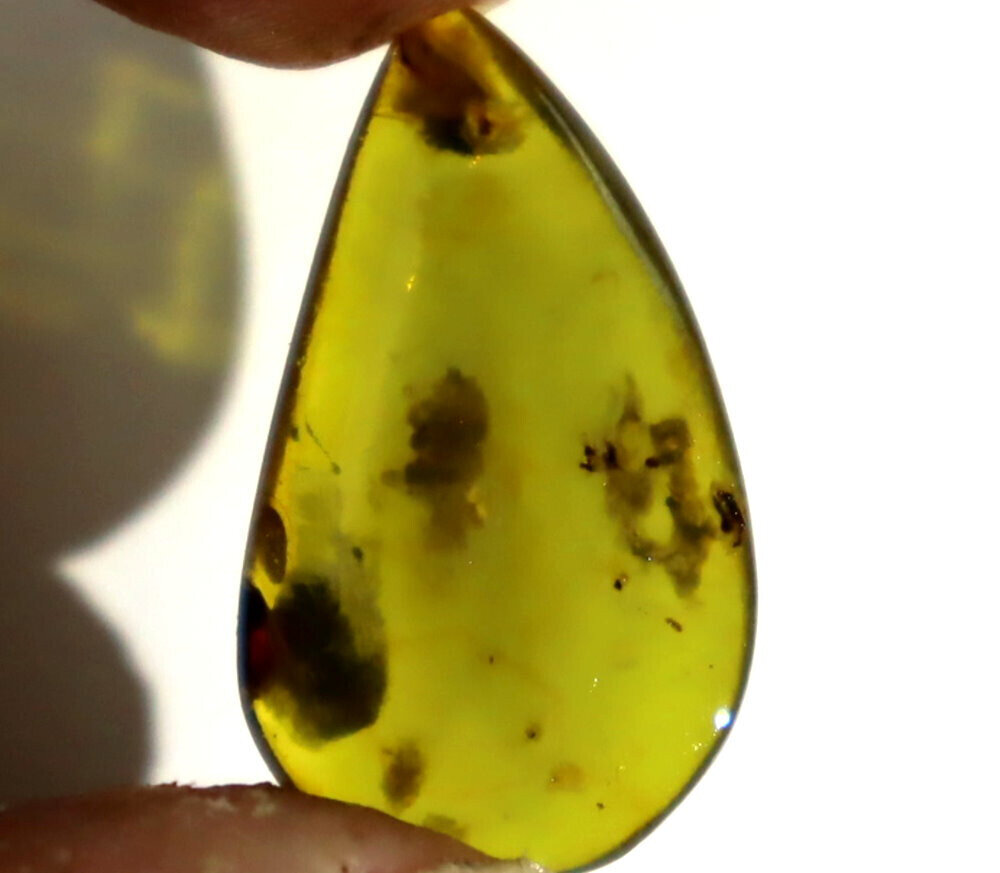 Exquisite Natural Dominican Clear Deep Green Amber Polished Stone 31mm – photo 5