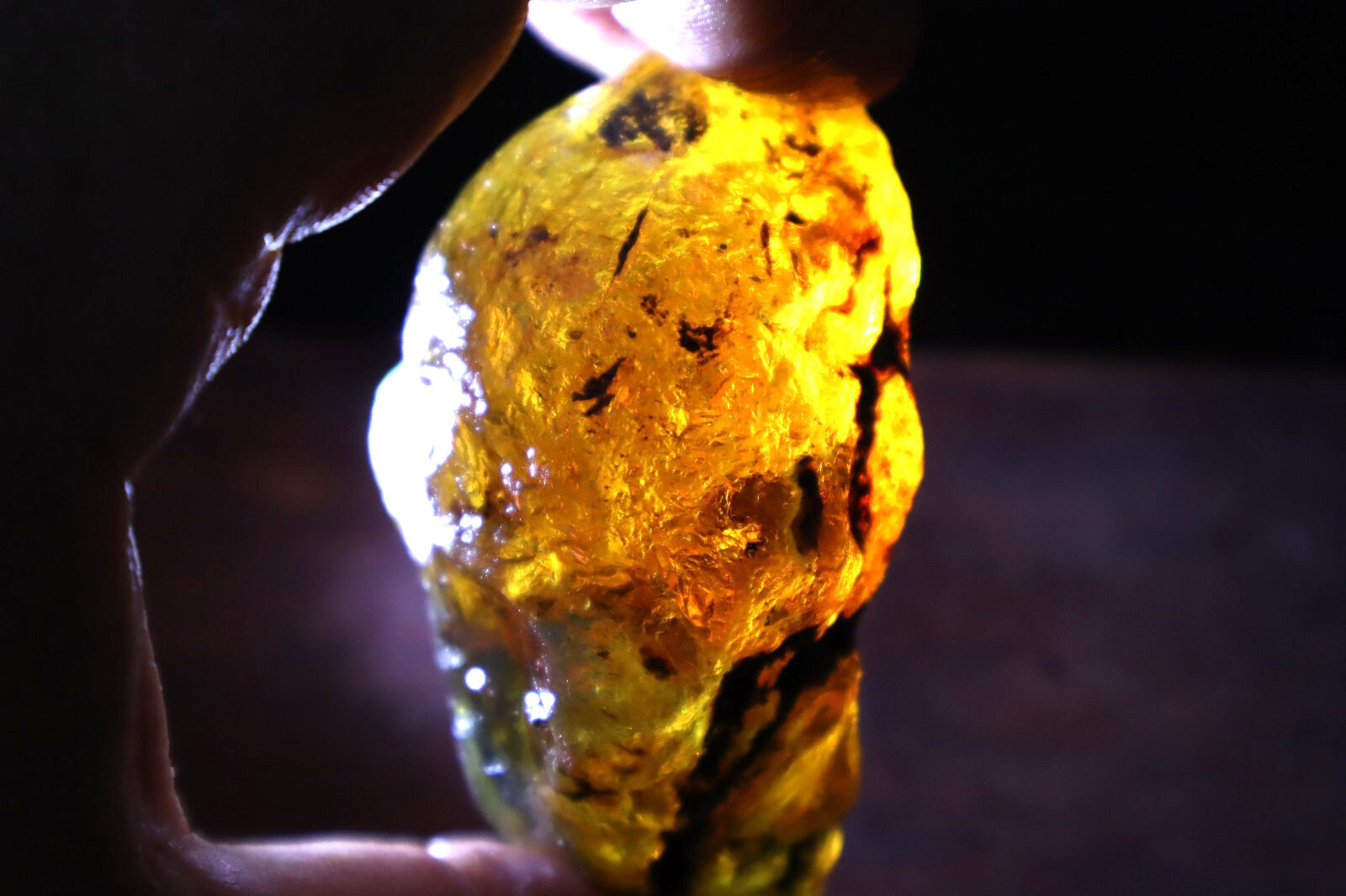 Impressive Natural Dominican Clear Light Blue Amber Rough Specimen 67mm 48.9g – photo 3