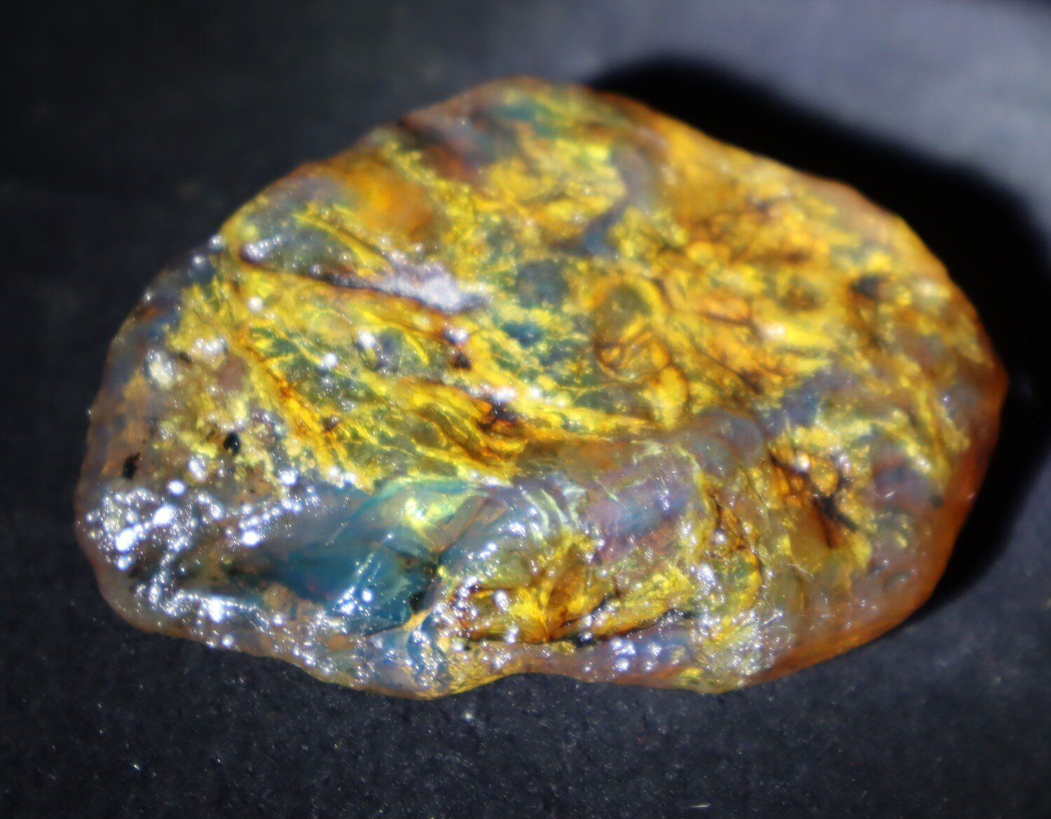 Natural Dominican Blue Green Amber Rough Specimen 60mm 20.5g Clear – photo 10