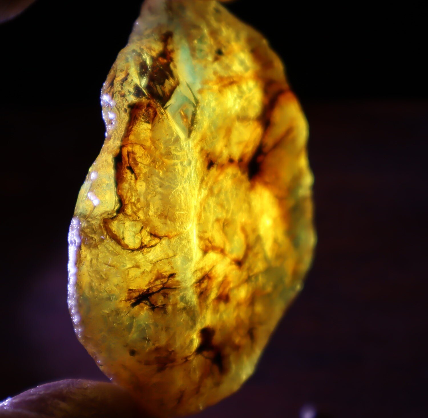 Natural Dominican Blue Green Amber Rough Specimen 60mm 20.5g Clear – photo 11