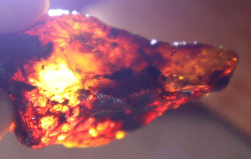Exquisite Natural Dominican Clear Sky Blue Amber Rough Specimen 48mm 10g – photo 14
