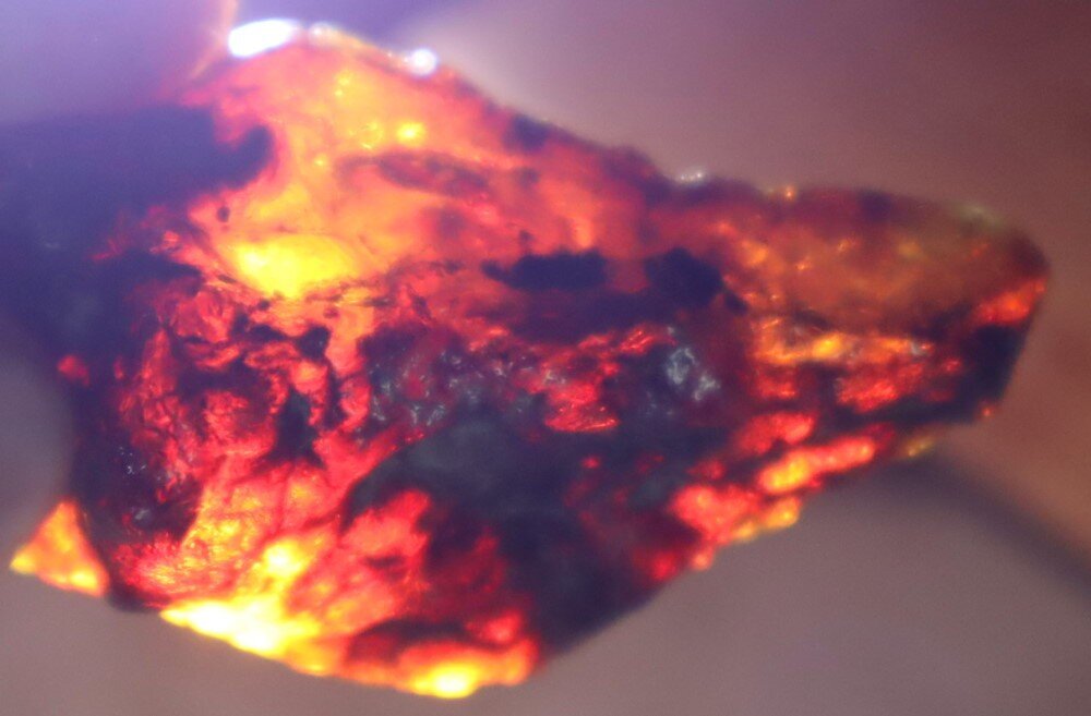 Exquisite Natural Dominican Clear Sky Blue Amber Rough Specimen 48mm 10g – photo 15