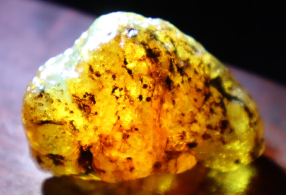 Excellent Natural Dominican Crystal Clear Yellow Amber Rough Specimen 46mm 14g – photo 8